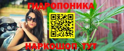 PSILOCYBIN Кингисепп