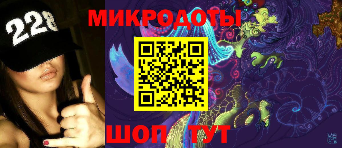 Псилоцибиновые грибы мицелий Тула