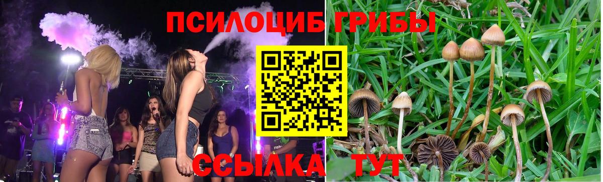 Галлюциногенные грибы мицелий  Вход с VPN  Тула  Галлюциногенные грибы мухоморы 